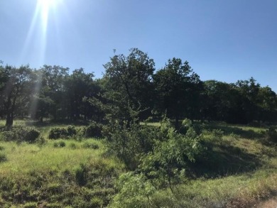 Lake Lot For Sale in Chico, Texas