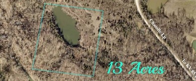(private lake, pond, creek) Acreage For Sale in Centertown Kentucky