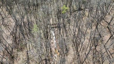 Did you say roughly 23 acres of heavily wooded ground currently - photo 7