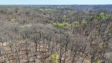 Did you say roughly 23 acres of heavily wooded ground currently - photo 10