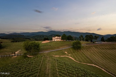 Villa Nove is a rare turnkey wine country estate and agritourism - photo 2