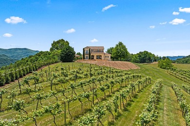 Villa Nove is a rare turnkey wine country estate and agritourism - photo 5