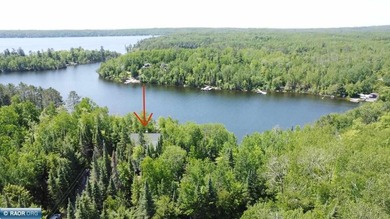 This exceptionally well maintained Lake Vermilion home sports - photo 40