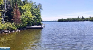 This exceptionally well maintained Lake Vermilion home sports - photo 49