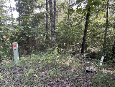 Lake Cumberland Building Lot - photo 11