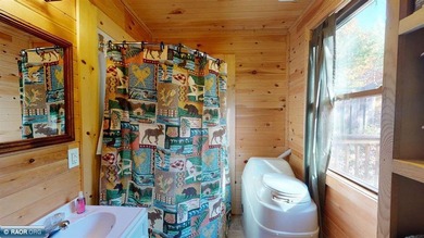 Looking for privacy? This furnished fishing, hunting, and family - photo 16