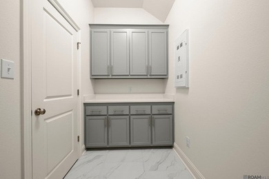 Stunning Burnside B plan by Level Homes underway in Atwater - photo 25