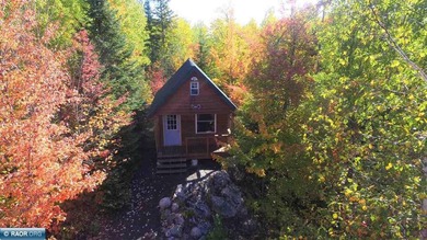 Looking for privacy? This furnished fishing, hunting, and family - photo 26