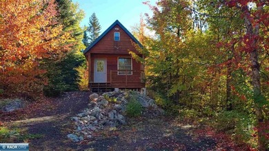 Looking for privacy? This furnished fishing, hunting, and family - photo 27