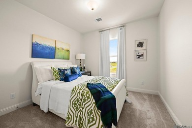 Stunning Burnside B plan by Level Homes underway in Atwater - photo 33