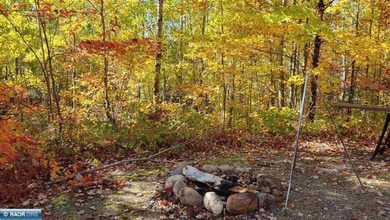 Looking for privacy? This furnished fishing, hunting, and family - photo 33