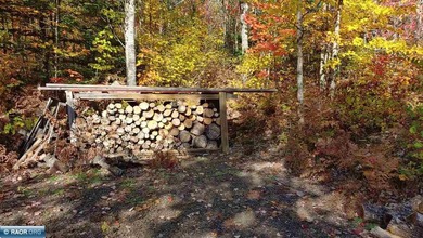 Looking for privacy? This furnished fishing, hunting, and family - photo 34
