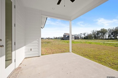 Stunning Burnside B plan by Level Homes underway in Atwater - photo 37