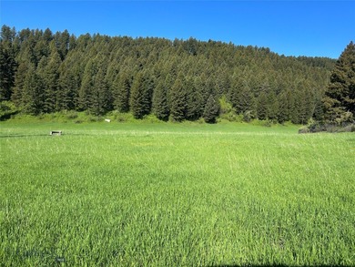 Welcome to your piece of paradise sitting between Park and - photo 2