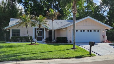 Lake Tarpon Home For Sale in Palm Harbor Florida