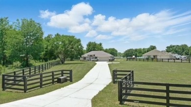 Lake Home For Sale in Umatilla, Florida