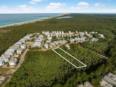Build your dream home in Cypress Dunes - one of 30A's most - photo 3