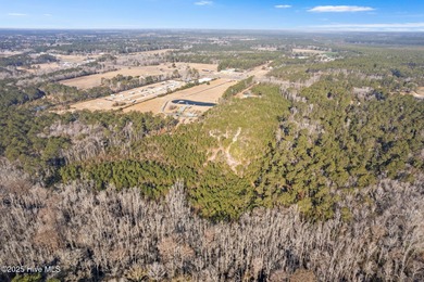 Unparalleled opportunity awaits visionary investors and - photo 37
