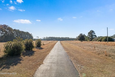 Unparalleled opportunity awaits visionary investors and - photo 38