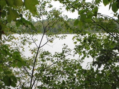 Rice Lake - Iron County Lot For Sale in Mercer Wisconsin