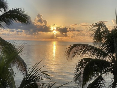 A rare find with beautiful Atlantic ocean view, luxury - photo 58