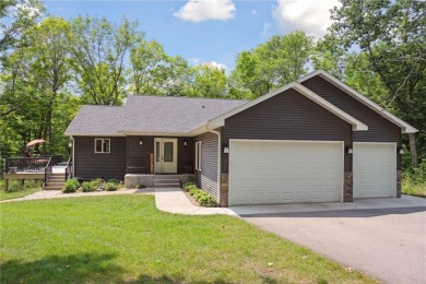 Rush Lake - Chisago County Home Sale Pending in Nessel Twp Minnesota