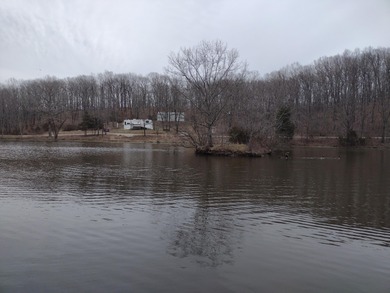 (private lake, pond, creek) Acreage For Sale in Seymour Missouri