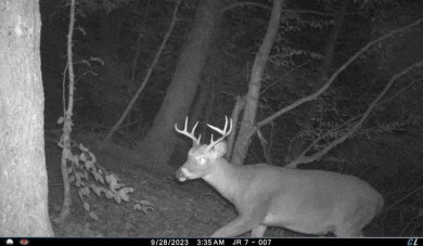 (private lake, pond, creek) Acreage For Sale in Hancock New York