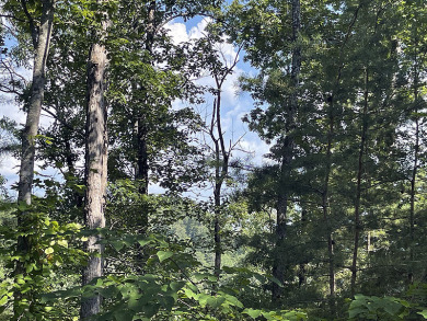 Lake Cumberland Building Lot - photo 8