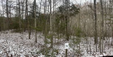 Lake Cumberland Building Lot - photo 3