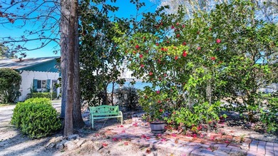Step back in time and embrace a Lake Blackshear Legacy!This - photo 47
