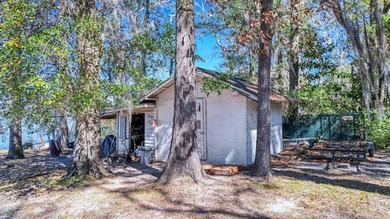 Step back in time and embrace a Lake Blackshear Legacy!This - photo 48