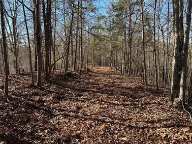 Premier 76+/- acre riverfront tract located at the rare - photo 2