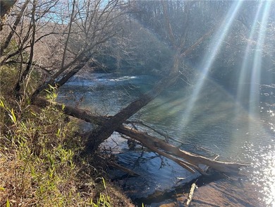 Premier 76+/- acre riverfront tract located at the rare - photo 4