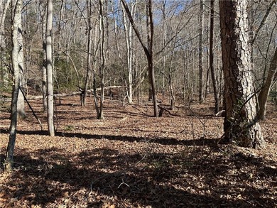 Premier 76+/- acre riverfront tract located at the rare - photo 7
