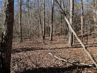 Premier 76+/- acre riverfront tract located at the rare - photo 8