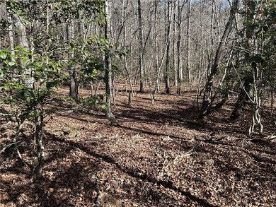 Premier 76+/- acre riverfront tract located at the rare - photo 10