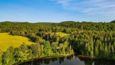  Lot For Sale in Lac-Sainte-Marie 