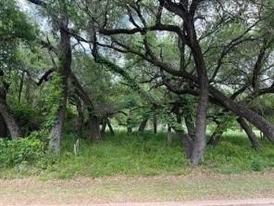 Lake Lot For Sale in Whitney, Texas