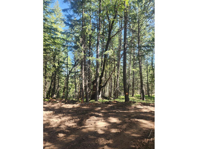 This beauty has it all, private 40 acres with gorgeous views of - photo 14