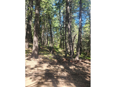 This beauty has it all, private 40 acres with gorgeous views of - photo 15