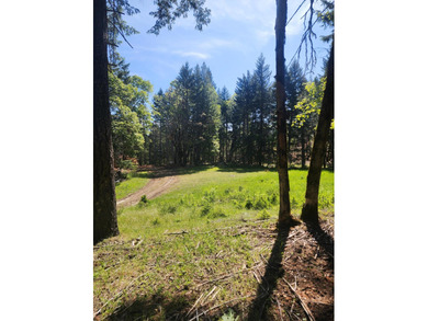 This beauty has it all, private 40 acres with gorgeous views of - photo 16