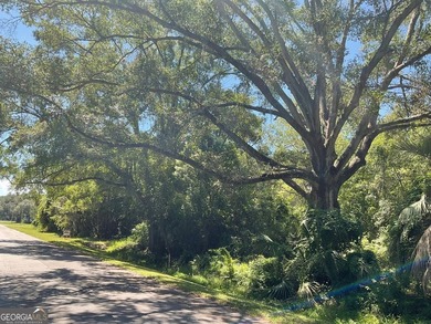 This 0.32 Acres lot has tall hardwood trees and smaller palm - photo 2