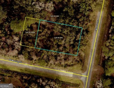 This 0.32 Acres lot has tall hardwood trees and smaller palm - photo 4