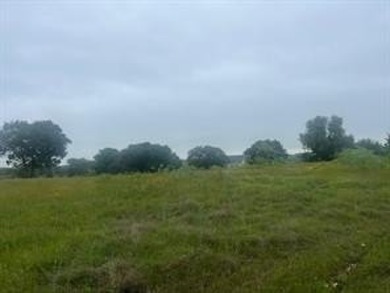 Lake Lot For Sale in Whitney, Texas