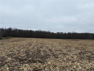 Additional listing photo 1