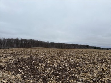 Additional listing photo 4