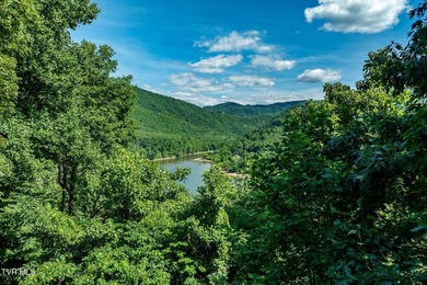 MOUNTAIN LAKE RETREAT with STUNNING VIEWS and LAKE ACCESS AND - photo 8