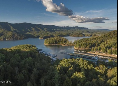 MOUNTAIN LAKE RETREAT with STUNNING VIEWS and LAKE ACCESS AND - photo 10