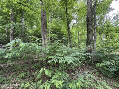 Stunning Lake Front Views--Gated Community-PENDING SOLD - photo 8